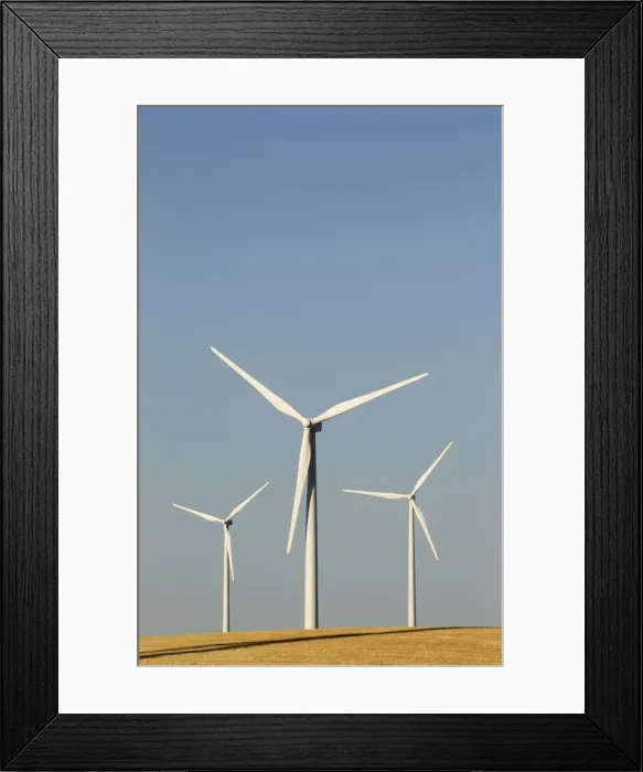 Framed Print : Picture No. 10895027 Framed Print : Picture No. 10895027