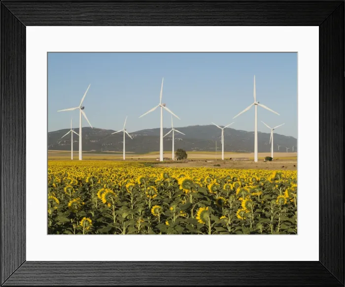 Framed Print : Picture No. 10895030 Framed Print : Picture No. 10895030