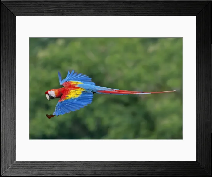 Framed Print : Picture No. 10895063 Framed Print : Picture No. 10895063