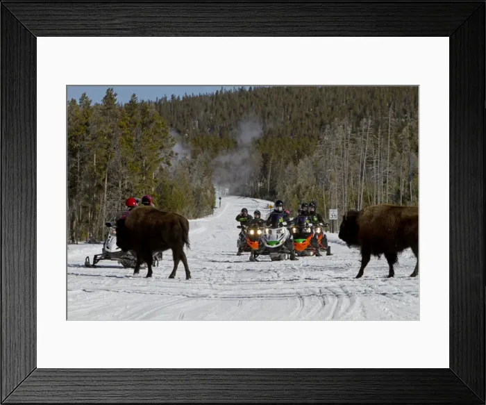 Framed Print : Picture No. 10895140 Framed Print : Picture No. 10895140