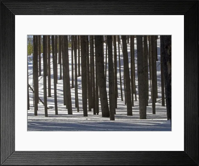 Framed Print : Picture No. 10895153 Framed Print : Picture No. 10895153