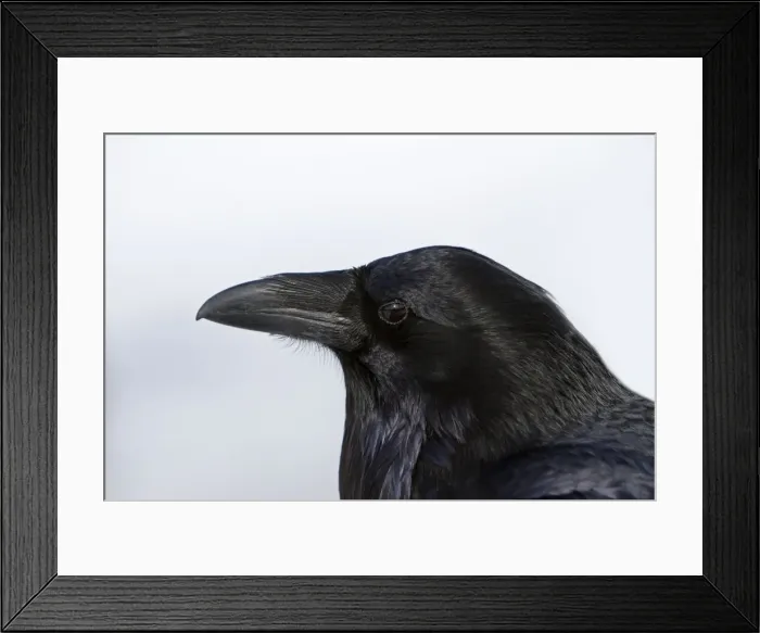 Framed Print : Picture No. 10895159 Framed Print : Picture No. 10895159