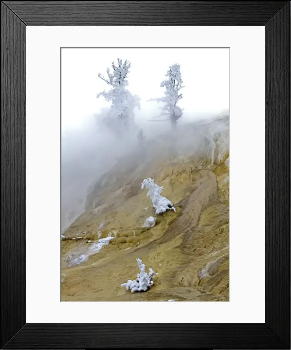Framed Print : Picture No. 10895173 Framed Print : Picture No. 10895173