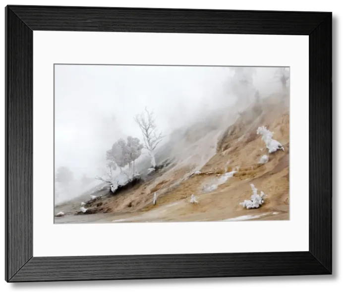 Framed Print : Picture No. 10895171 Framed Print : Picture No. 10895171