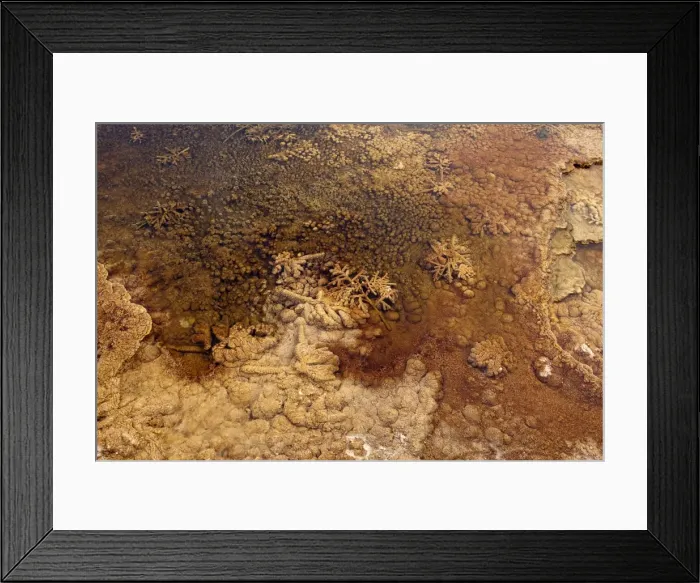 Framed Print : Picture No. 10895169