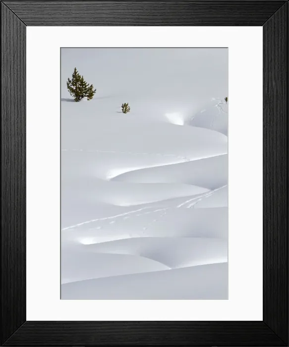 Framed Print : Picture No. 10895196 Framed Print : Picture No. 10895196