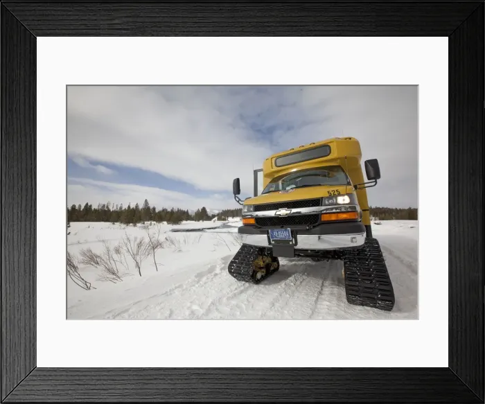 Framed Print : Picture No. 10895197 Framed Print : Picture No. 10895197