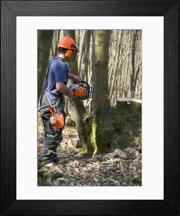 Framed Print : Picture No. 10895204 Framed Print : Picture No. 10895204