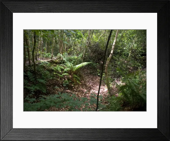 Framed Print : Picture No. 10895207 Framed Print : Picture No. 10895207