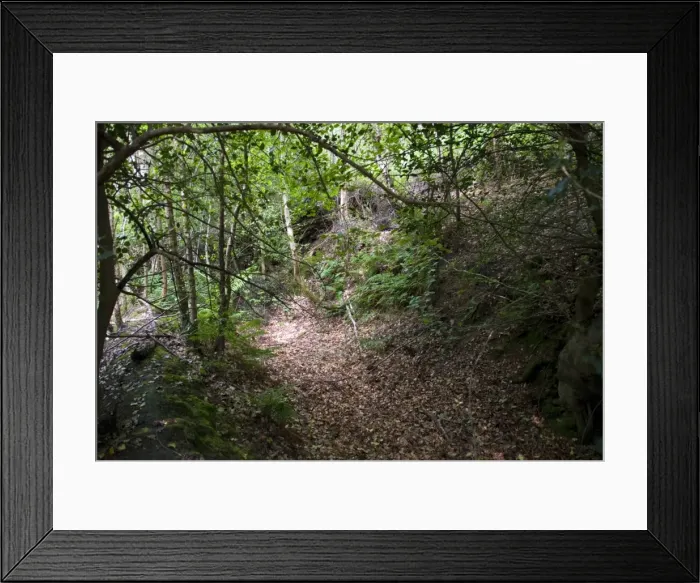 Framed Print : Picture No. 10895208 Framed Print : Picture No. 10895208