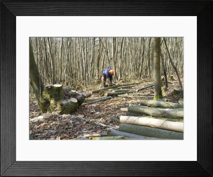 Framed Print : Picture No. 10895205 Framed Print : Picture No. 10895205