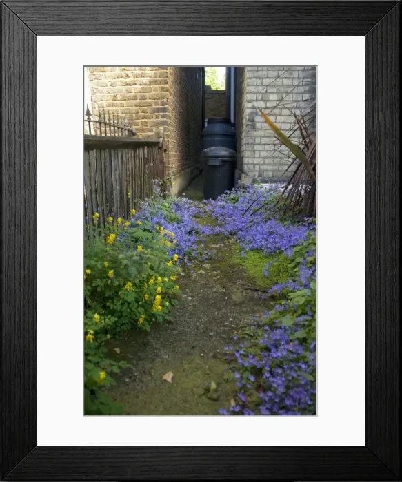 Framed Print : Picture No. 10895211 Framed Print : Picture No. 10895211