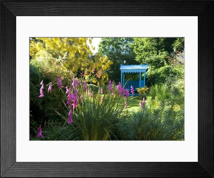 Framed Print : Picture No. 10895213