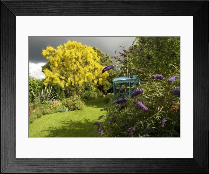Framed Print : Picture No. 10895212 Framed Print : Picture No. 10895212