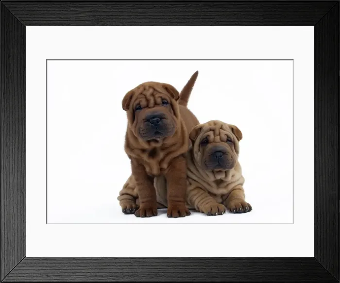 Framed Print : Picture No. 10895225 Framed Print : Picture No. 10895225