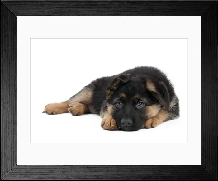 Framed Print : Picture No. 10895244 Framed Print : Picture No. 10895244