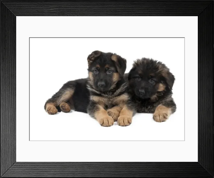 Framed Print : Picture No. 10895246 Framed Print : Picture No. 10895246