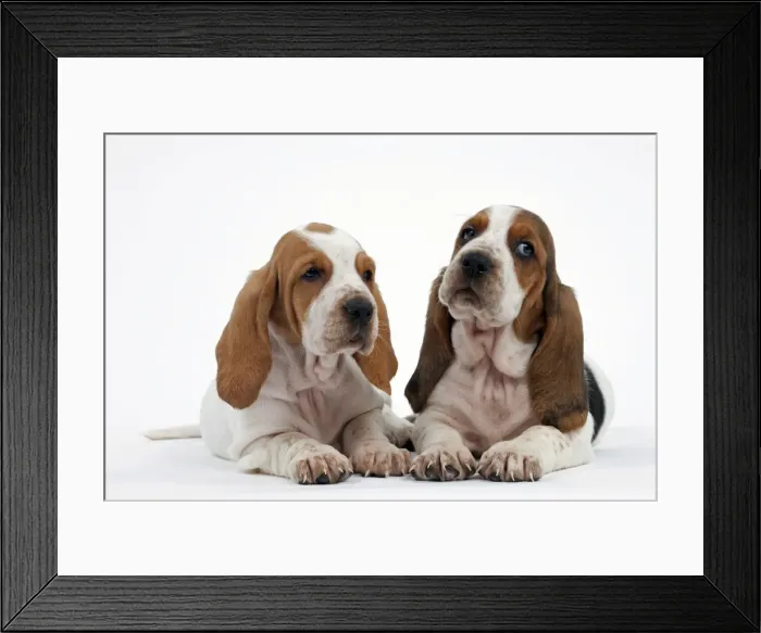 Framed Print : Picture No. 10895258 Framed Print : Picture No. 10895258