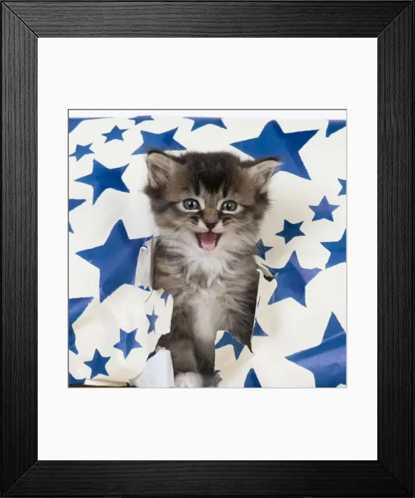 Framed Print : Picture No. 10895272 Framed Print : Picture No. 10895272