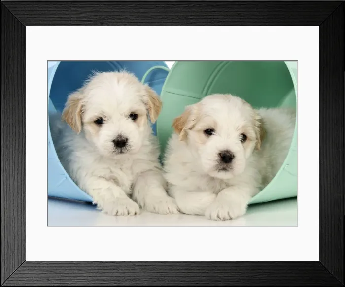 Framed Print : Picture No. 10895280