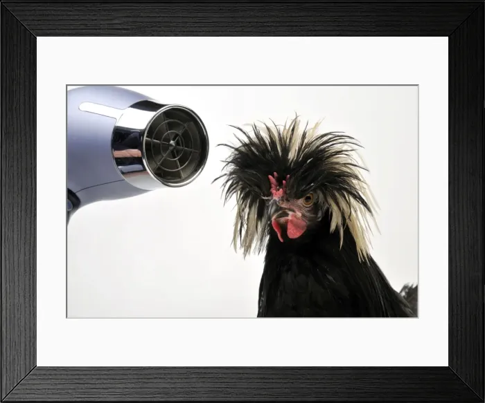 Framed Print : Picture No. 10895284 Framed Print : Picture No. 10895284