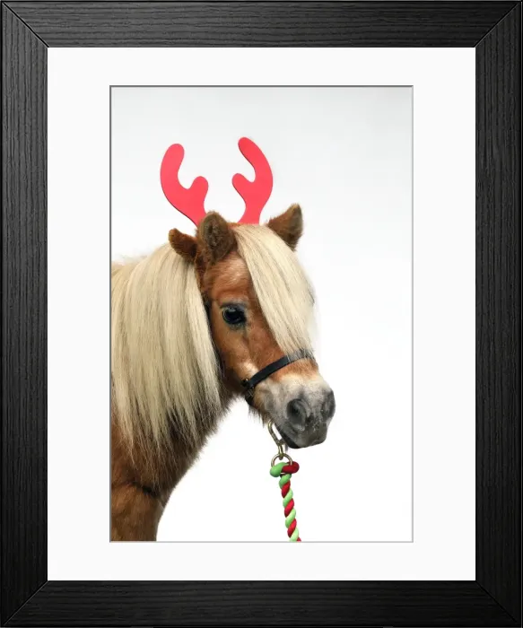 Framed Print : Picture No. 10895300 Framed Print : Picture No. 10895300