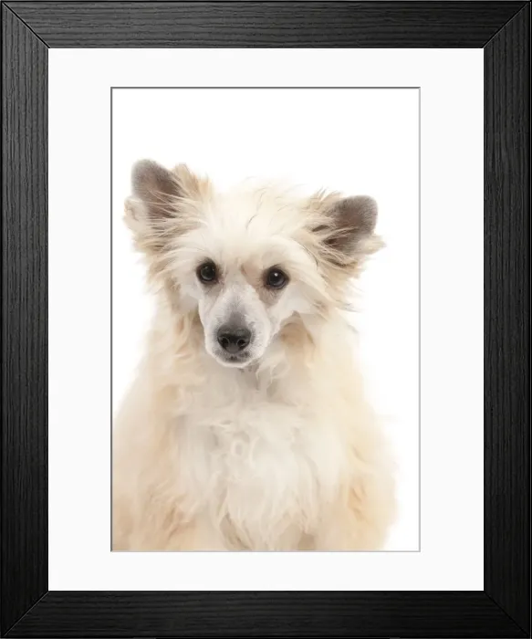 Framed Print : Picture No. 10895438 Framed Print : Picture No. 10895438