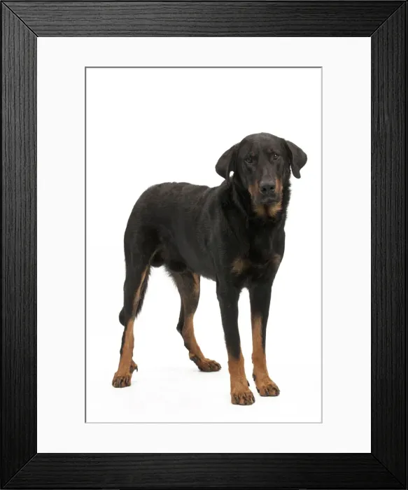Framed Print : Picture No. 10895441 Framed Print : Picture No. 10895441