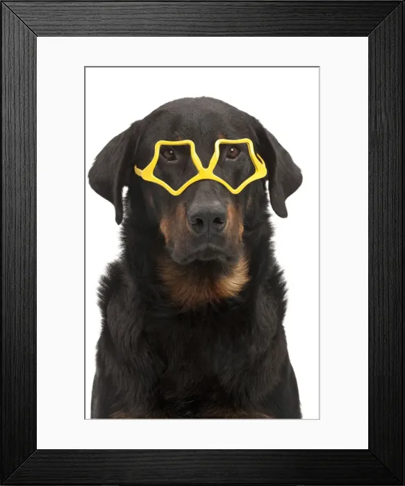 Framed Print : Picture No. 10895440 Framed Print : Picture No. 10895440