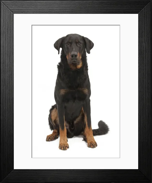 Framed Print : Picture No. 10895446 Framed Print : Picture No. 10895446