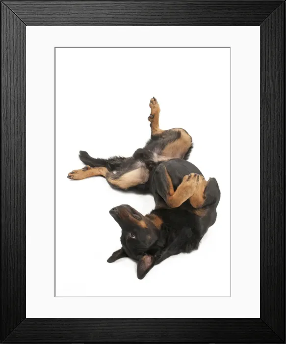 Framed Print : Picture No. 10895444 Framed Print : Picture No. 10895444