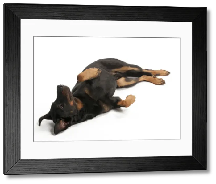 Framed Print : Picture No. 10895445 Framed Print : Picture No. 10895445
