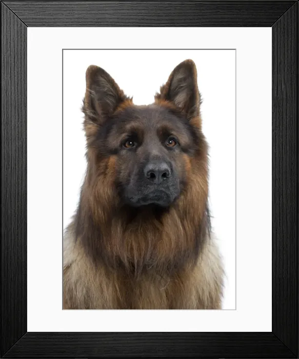 Framed Print : Picture No. 10895455 Framed Print : Picture No. 10895455