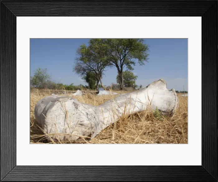 Framed Print : Picture No. 10893772 Framed Print : Picture No. 10893772