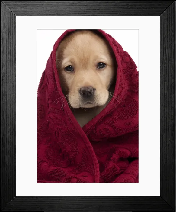 Framed Print : Picture No. 10895456 Framed Print : Picture No. 10895456