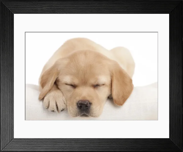 Framed Print : Picture No. 10895462 Framed Print : Picture No. 10895462