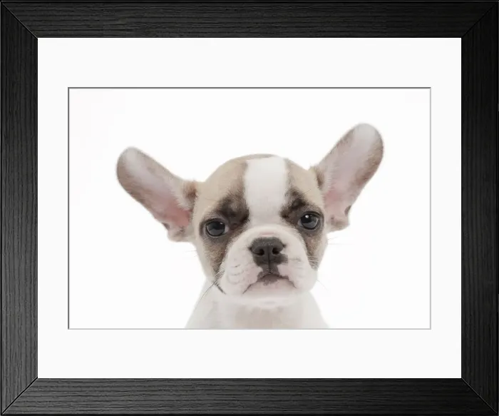 Framed Print : Picture No. 10895505 Framed Print : Picture No. 10895505