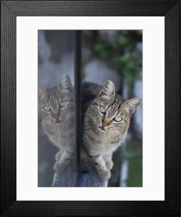 Framed Print : Picture No. 10895511 Framed Print : Picture No. 10895511