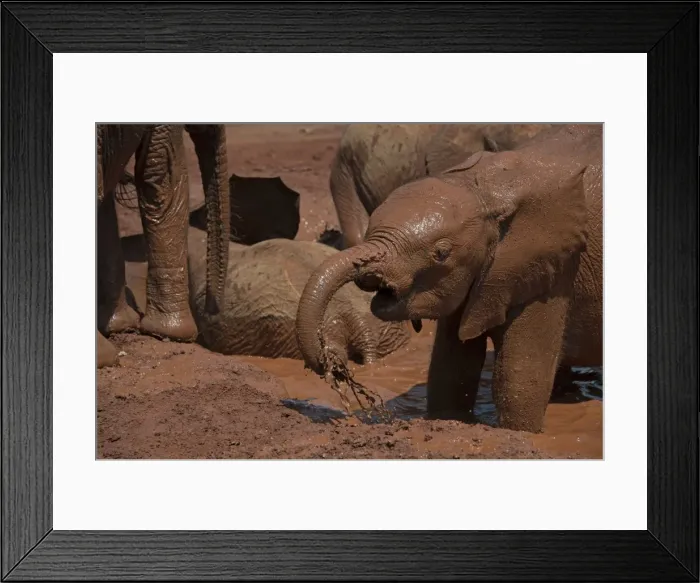 Framed Print : Picture No. 10895569 Framed Print : Picture No. 10895569