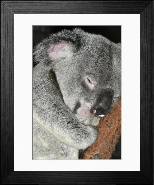 Framed Print : Picture No. 10895562