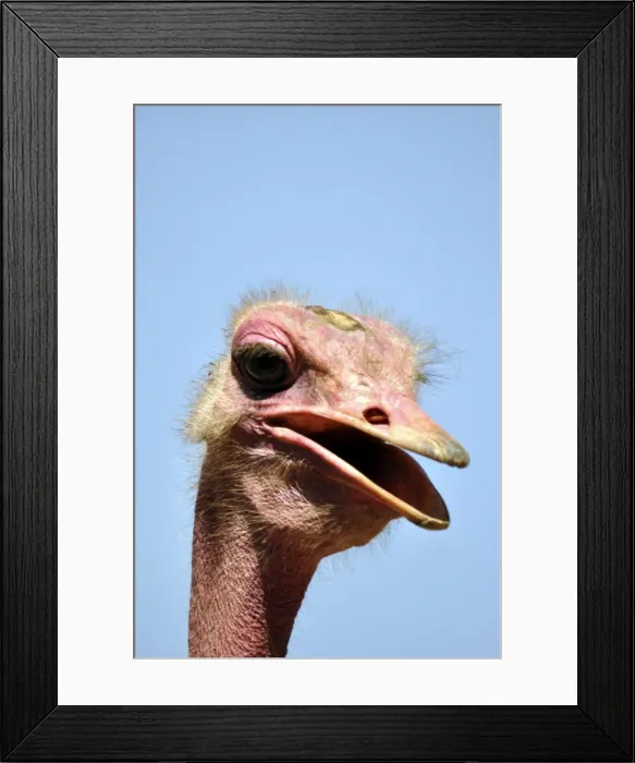 Framed Print : Picture No. 10895567 Framed Print : Picture No. 10895567