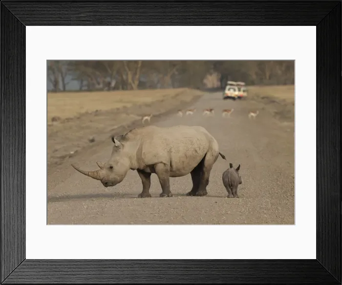 Framed Print : Picture No. 10895617 Framed Print : Picture No. 10895617