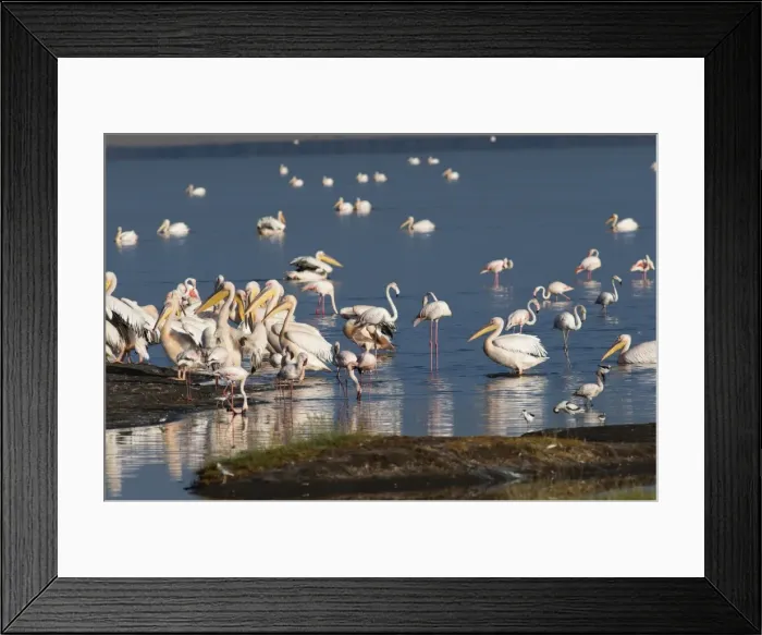 Framed Print : Picture No. 10895620 Framed Print : Picture No. 10895620