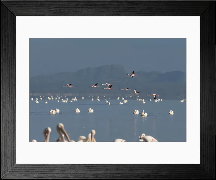 Framed Print : Picture No. 10895622 Framed Print : Picture No. 10895622