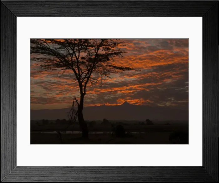 Framed Print : Picture No. 10895634