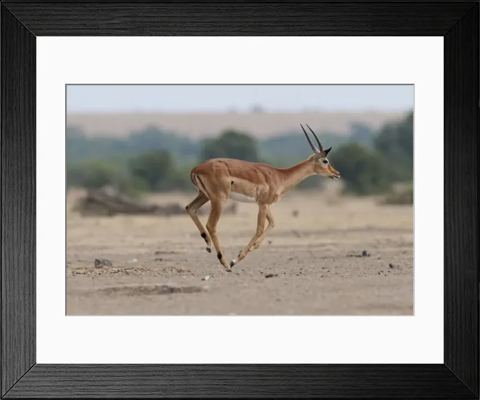 Framed Print : Picture No. 10895642 Framed Print : Picture No. 10895642