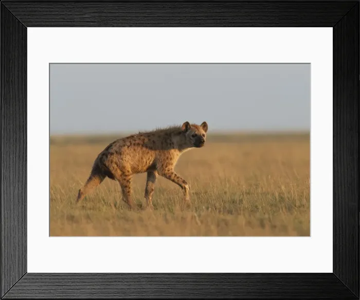Framed Print : Picture No. 10895695 Framed Print : Picture No. 10895695