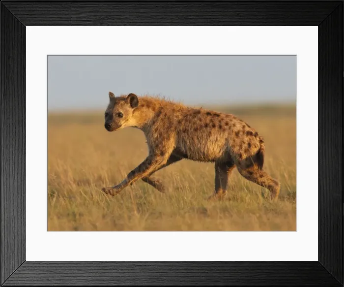 Framed Print : Picture No. 10895697 Framed Print : Picture No. 10895697