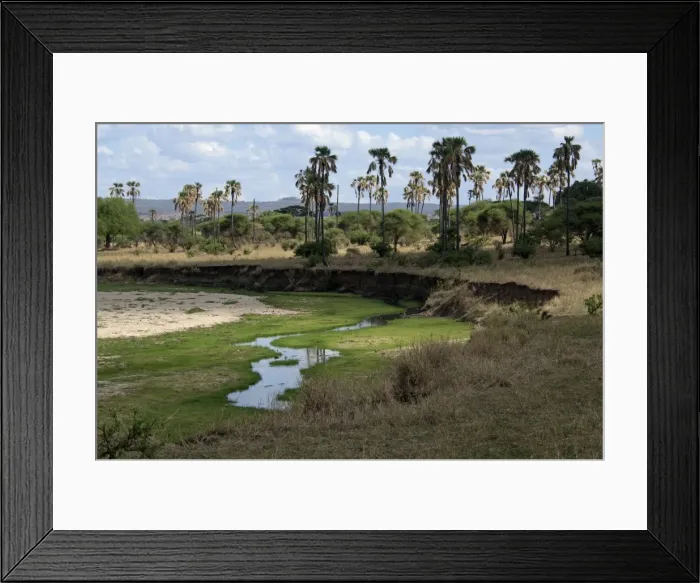 Framed Print : Picture No. 10895709 Framed Print : Picture No. 10895709