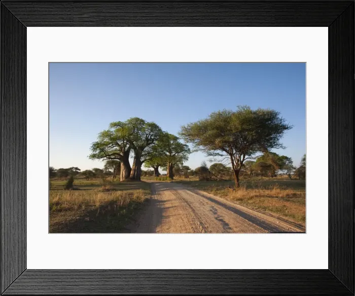 Framed Print : Picture No. 10895705 Framed Print : Picture No. 10895705
